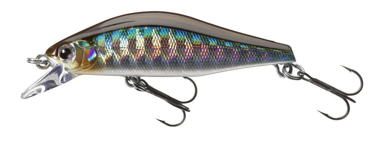 TOURNAMENT WISE MINNOW 50FS KIBINAGO