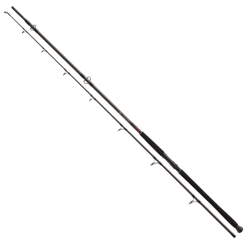 Prut Daiwa Exceler Catfish Boje 3,0 m / 200-600 g