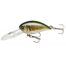 CORMORAN COR F12 - carp