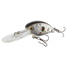 CORMORAN COR F12 - dotted roach