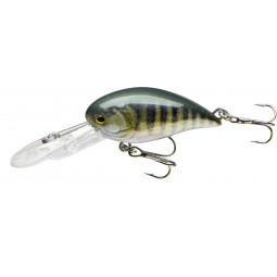 CORMORAN COR F12 - perch