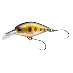 CORMORAN COR F15 - brown minnow