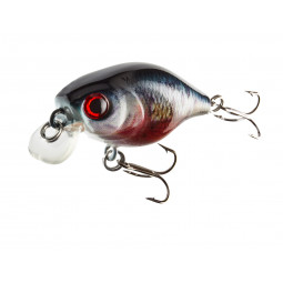 CORMORAN COR F3 - dying roach