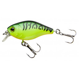 CORMORAN COR F3 - firetiger