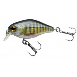CORMORAN COR F3 - perch