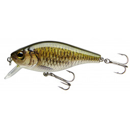 CORMORAN COR F5 - carp