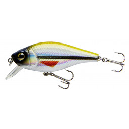 CORMORAN COR F5 - special ayu