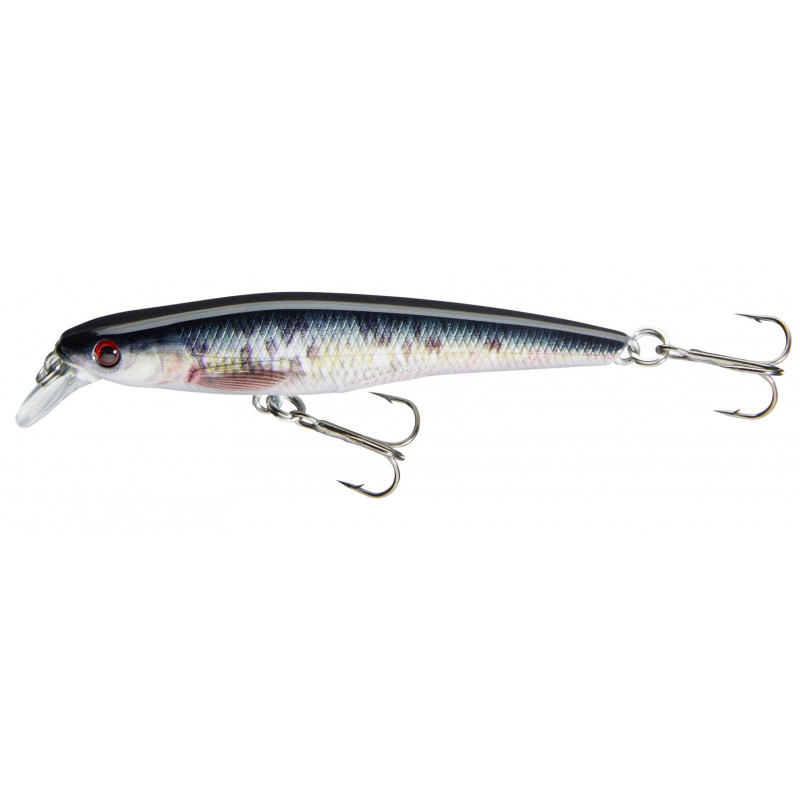 CORMORAN COR F6 - dying roach CORMORAN COR F6 - dying roach