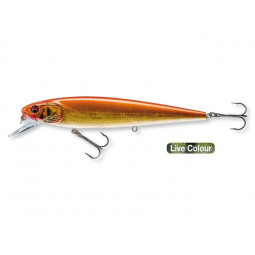 DAIWA PROREX MINNOW SR - live orange bleak