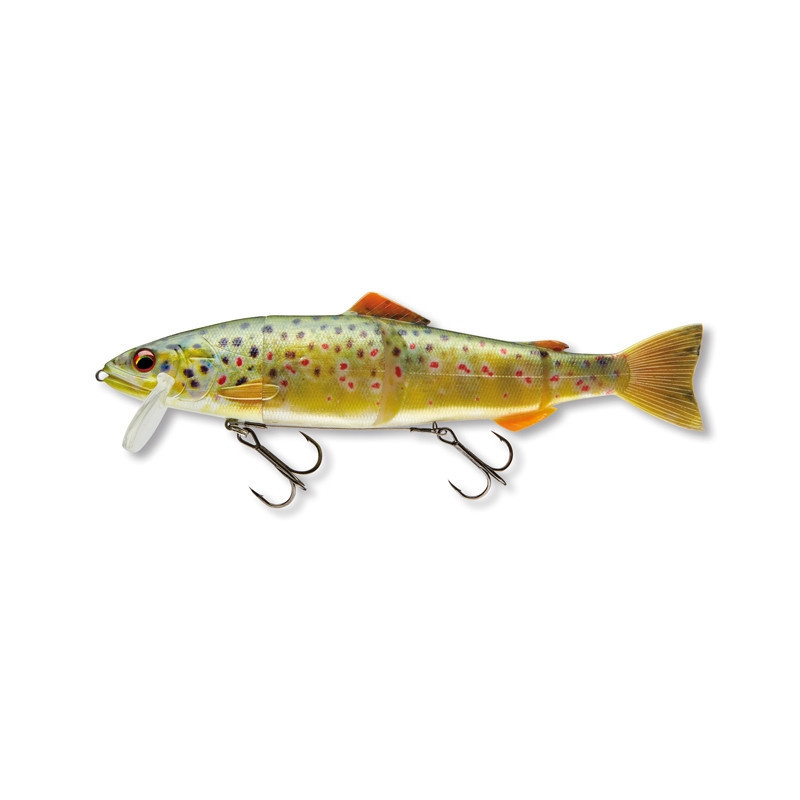 DAIWA PROREX HYBRID TROUT - live brown trout