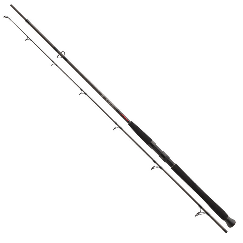 DAIWA EXCELER CATFISH SPIN