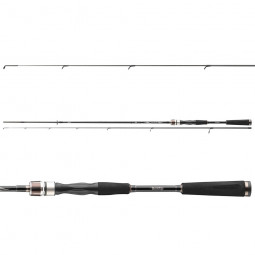 DAIWA EXCELER SOLIDTIP SPIN