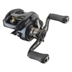 DAIWA STEEZ A II TW