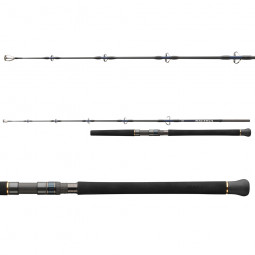 DAIWA SALTIGA JIGGING