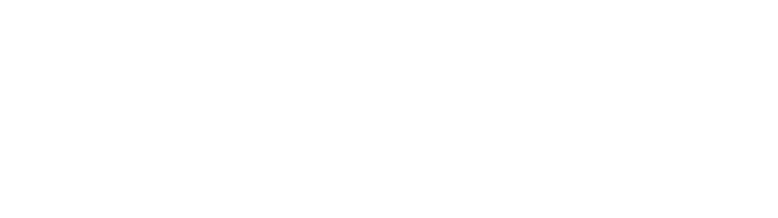 www.daiwainfo.cz